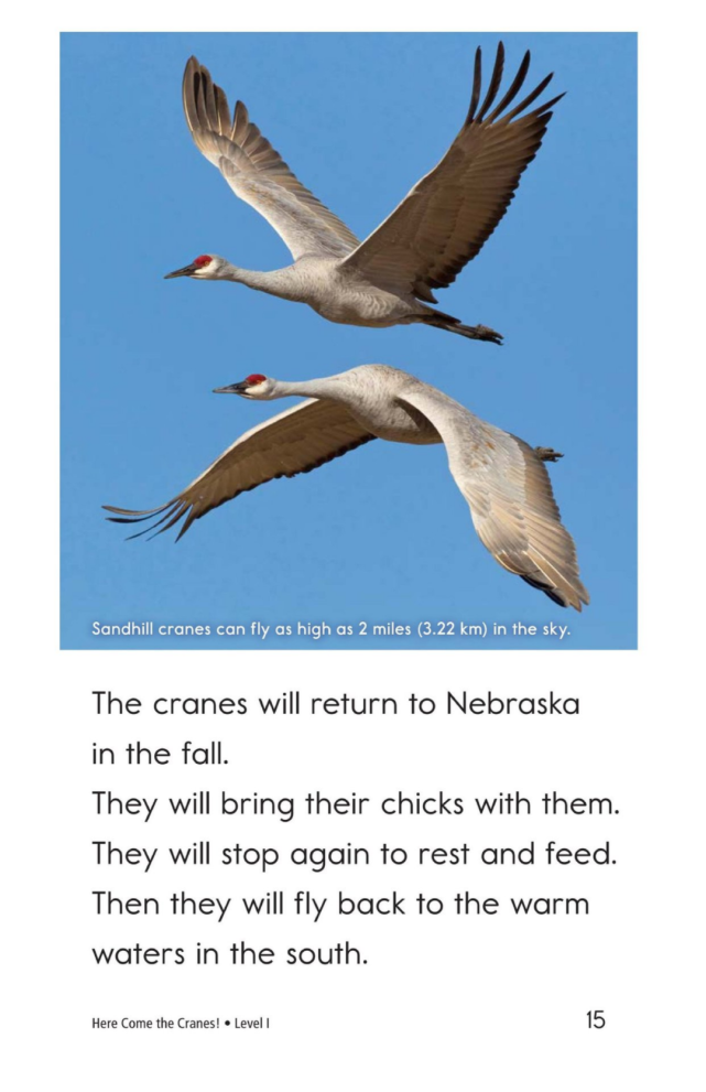 here come the cranes!