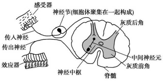 2021—2022生物高考熱點事件回顧(附預測題)