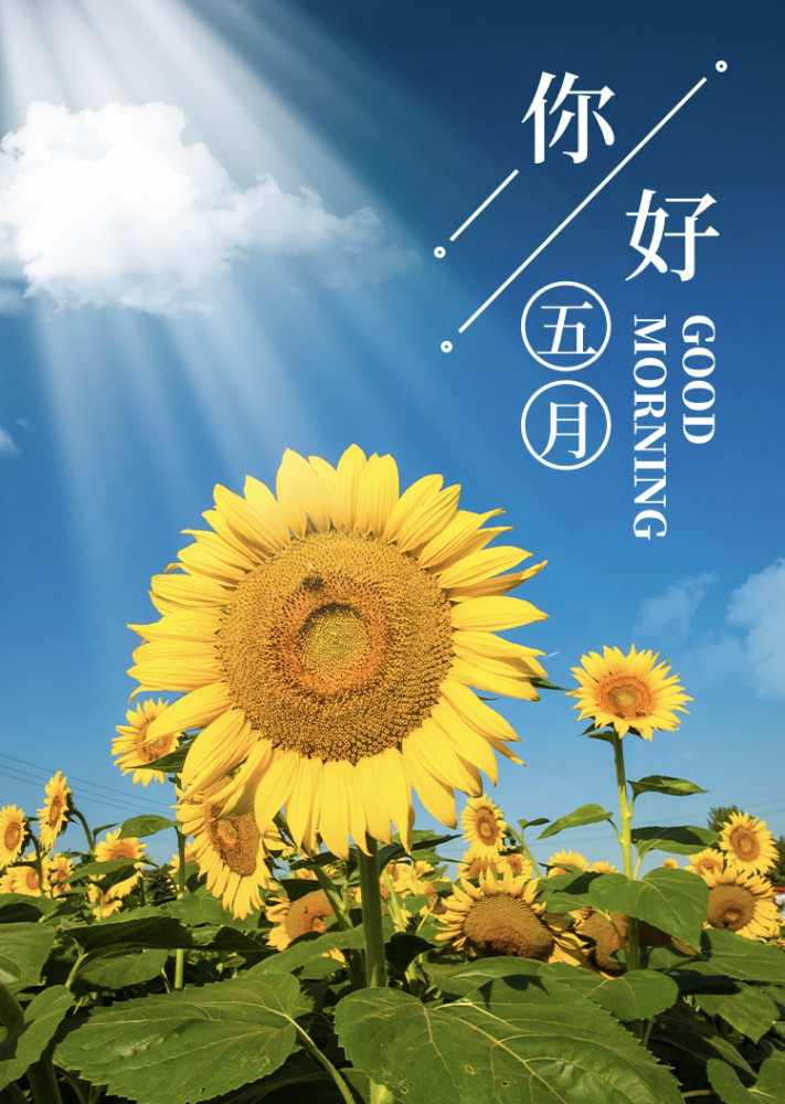 四月再见五月你好