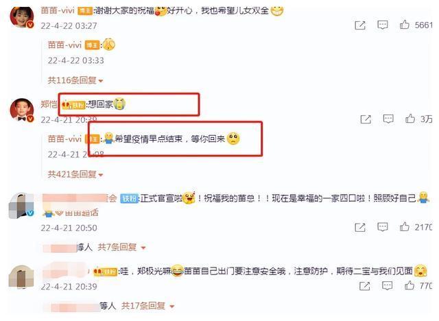郑恺苗苗官宣二胎 怀孕约27周预产期在7月 二胎性别曝光 苗苗 郑恺 预产期