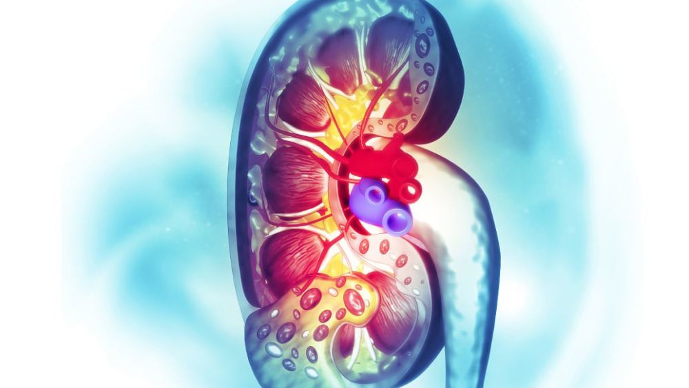 尿毒症不会“一蹴而就”！尿毒症有哪些早期症状，你了解吗？_腾讯新闻