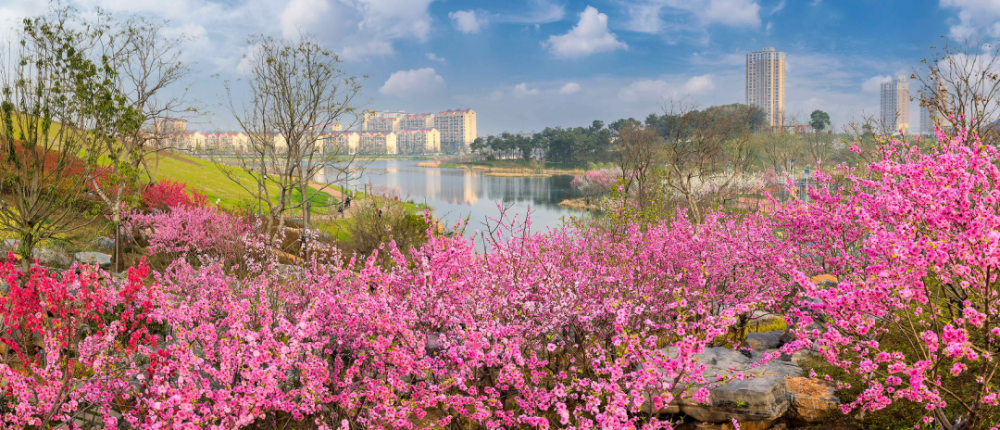 穿搭图鉴在桃湖公园遇见美好