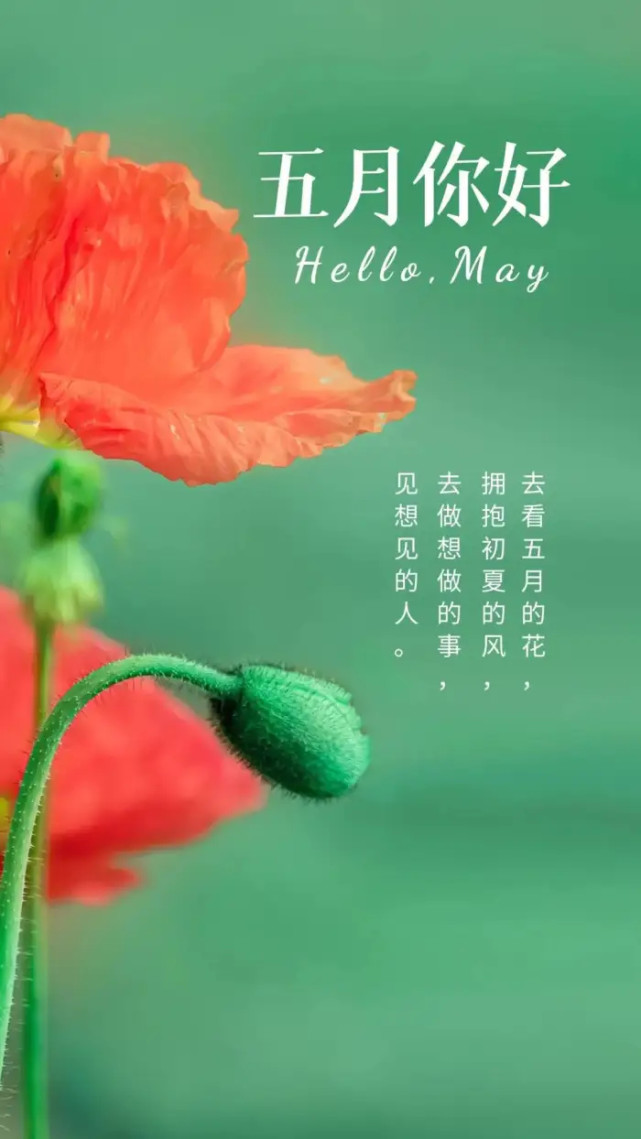四月再见,五月你好!