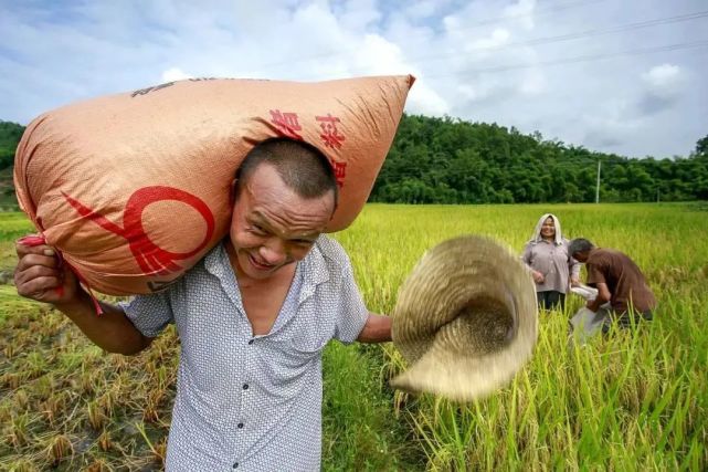 平凡而伟大的劳动者图片