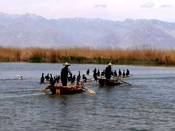 據瞭解,大沙湖區域生態導向開發項目將打造夢幻沙村,精彩演藝,智慧