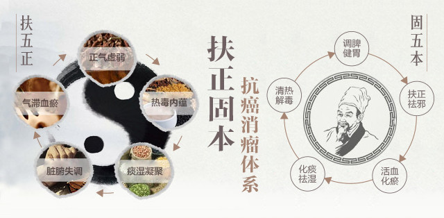 天津渤海医院肿瘤专家胡四海:肿瘤新治则,扶正固本,兼顾补调