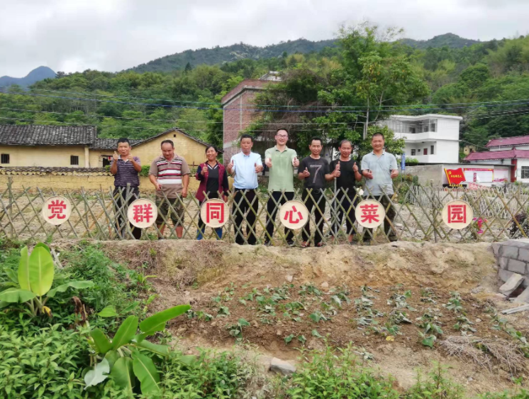 丰良镇九龙村一起建四小园乡村也宜业宜游宜居