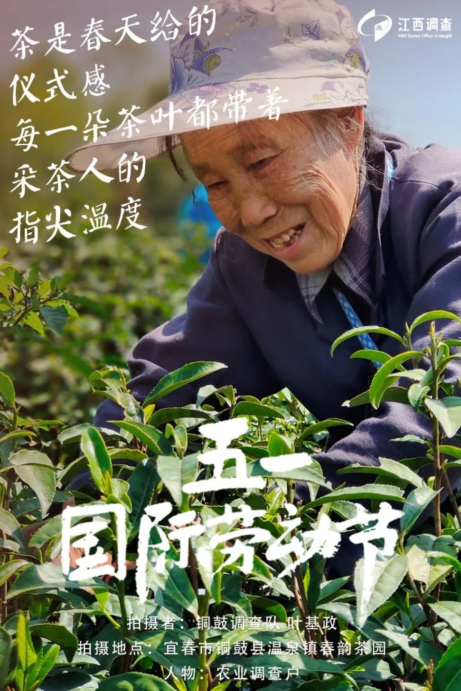 五一这组照片定格了他们的最美瞬间