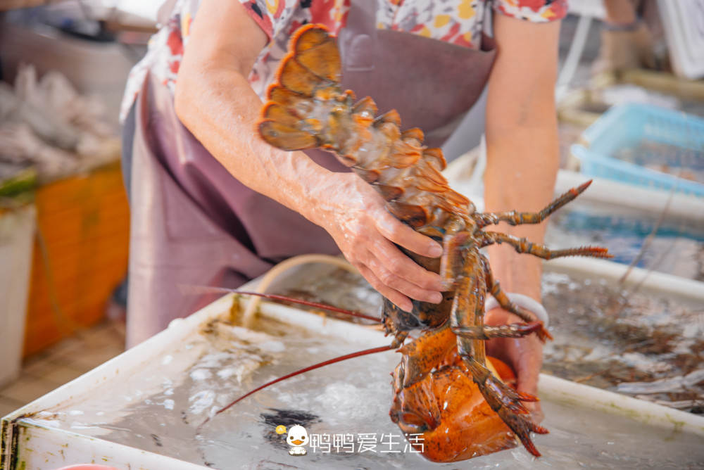 十九涌渔人码头海鲜图片