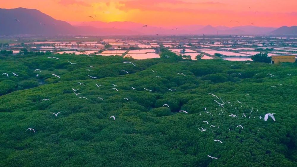 携一缕春风 漫步小城云霄_腾讯新闻