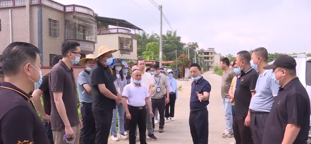 丰顺一违章建筑被依法拆除