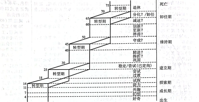 舒伯的生涯发展理论图片