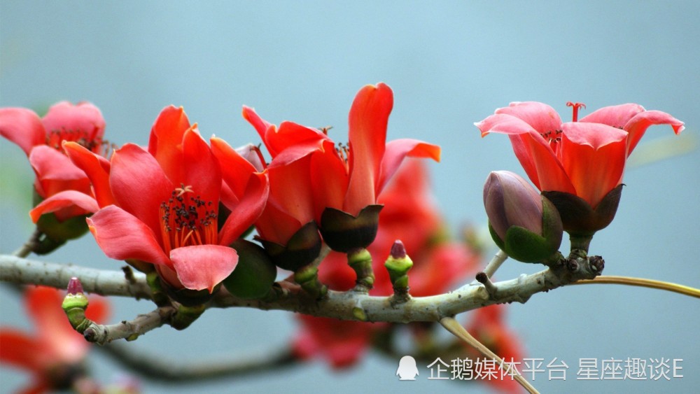 5月2日 8日星座运势 小试锋芒 突飞猛进的四大星座 天天看点