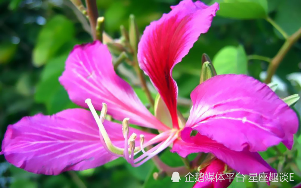 5月2日 8日星座运势 小试锋芒 突飞猛进的四大星座 天天看点