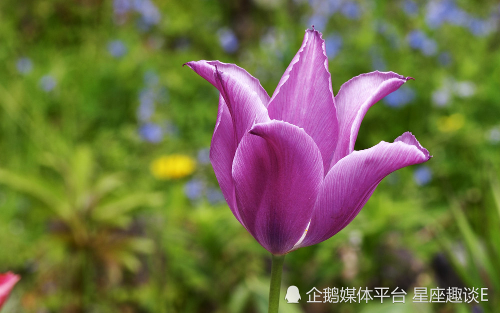 5月2日 8日星座运势 琴瑟和鸣 缔结良缘的四大星座 天天看点