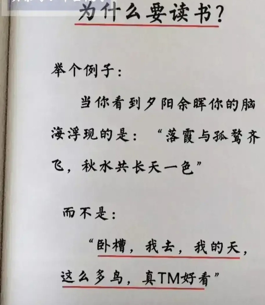 短文字大道理把及時止損作為人生信條