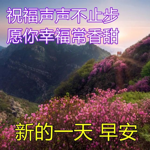 漂亮好看的早上好說說動態圖片夏日幸福暖心的早上好問候祝福風景圖片