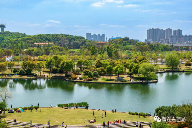 东西湖美景:码头潭文化遗址公园