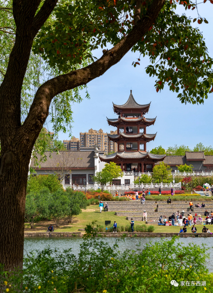 东西湖美景:码头潭文化遗址公园