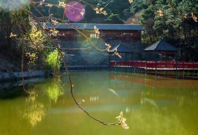 九龍山國家級森林公園邀您踏青