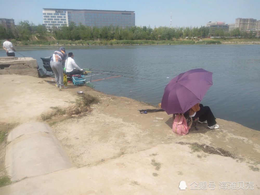 郑州贾鲁河畔,来这里垂钓的人真多