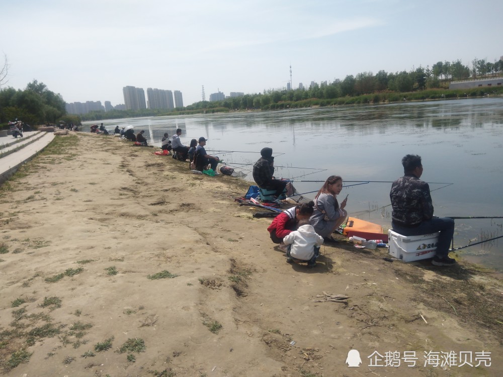 郑州贾鲁河畔,来这里垂钓的人真多