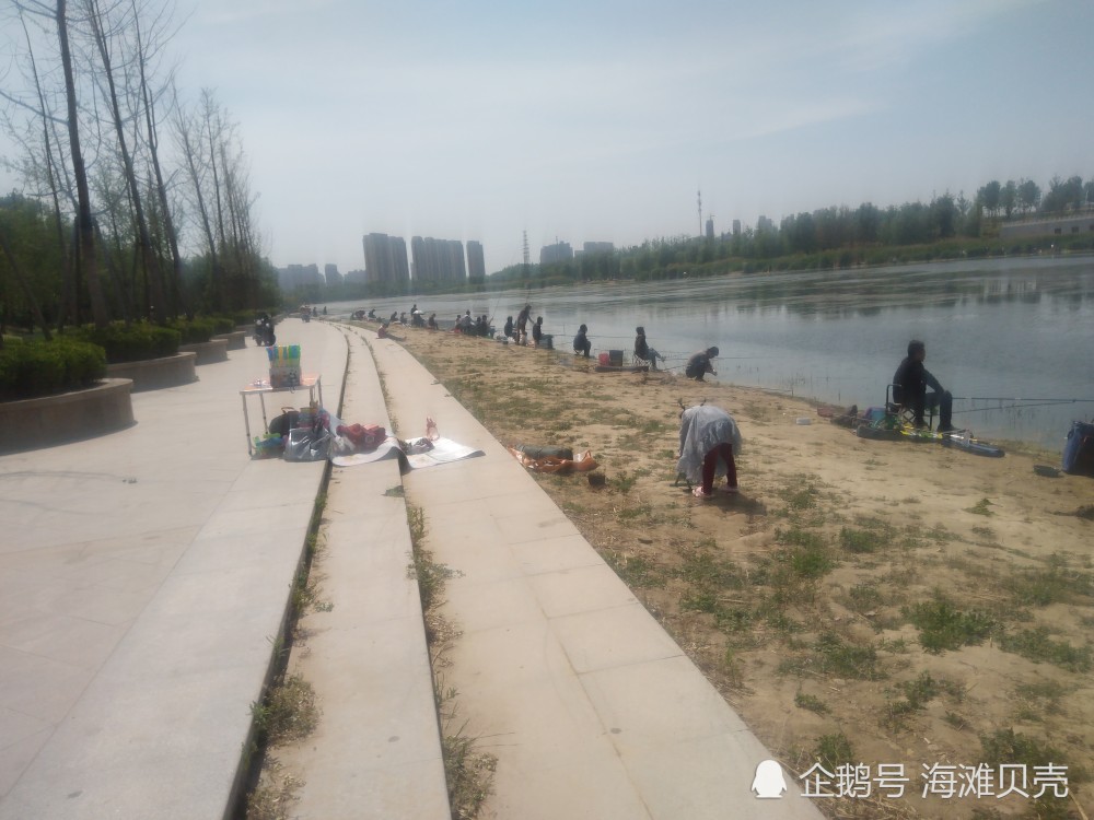 郑州贾鲁河畔,来这里垂钓的人真多