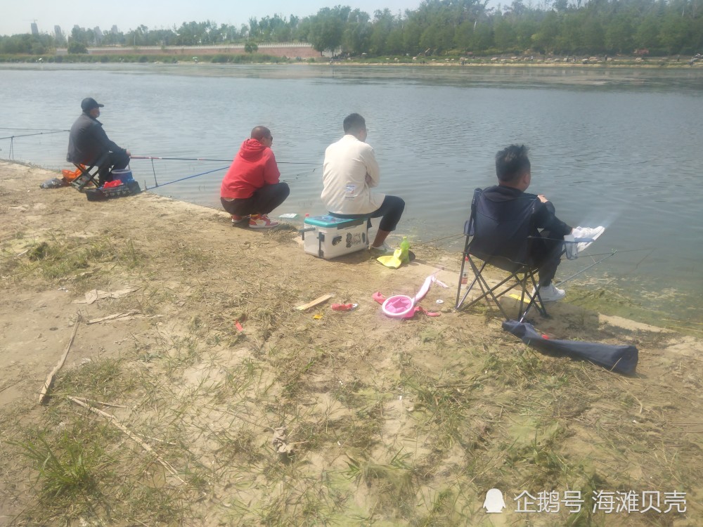 郑州贾鲁河畔,来这里垂钓的人真多