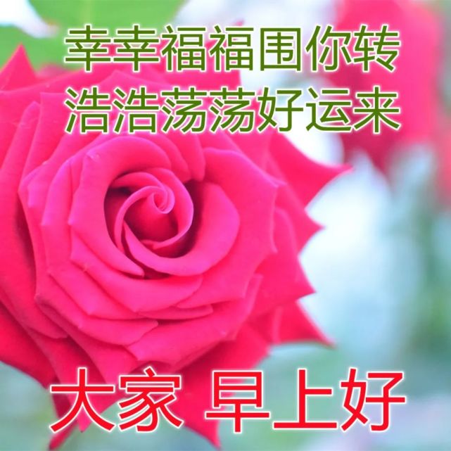 大家早晨好问候祝福图片 清晨聊天问候早上好图片