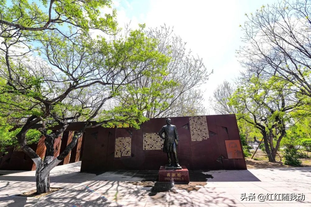 沈阳劳动公园,初夏赏美景_腾讯新闻
