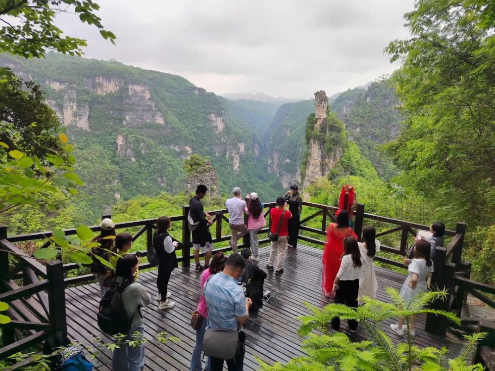 天然氧吧我的醉愛襄陽文旅推薦官打卡推介九路寨