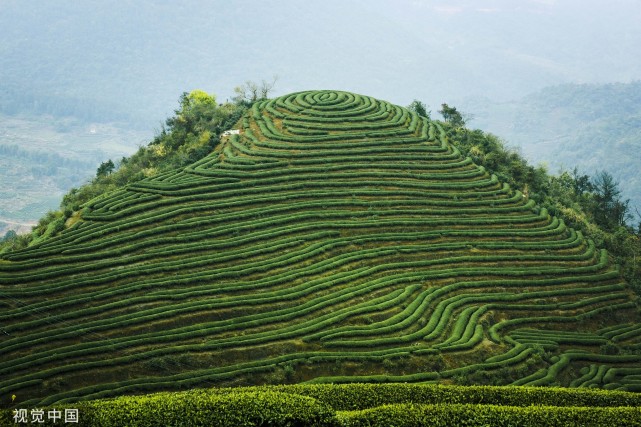 福建最美茶山在這裡,連劉德華都跑來拍電影《失孤》,從此名聞天下