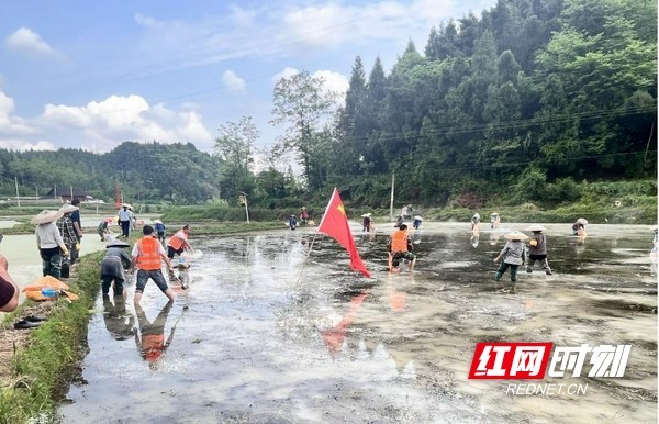 花垣县猫儿乡新时代文明实践服务助力春耕生产