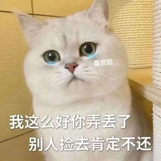 表情包我這麼好看你弄丟了別人撿到肯定不還