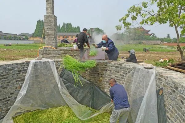 2022年5月1日,安徽省淮南市寿县古城寿州香草园内,村民将高温开水烫