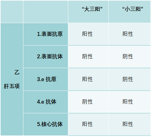 乙肝大三阳对照表组合图片