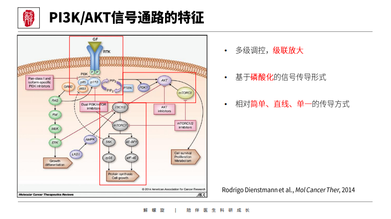 hippo信号通路登cancer子刊这个信号通路潜力无限