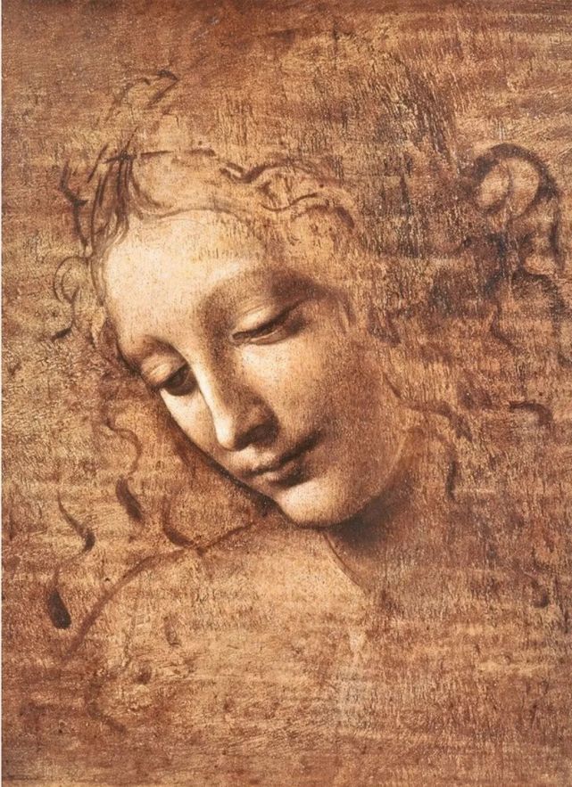 以追光蹑影之笔,写通天尽人之怀:达·芬奇的女性肖像画