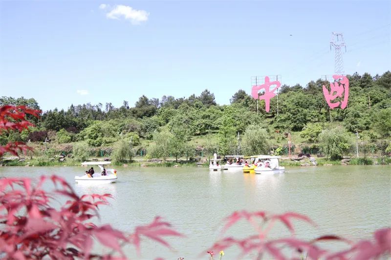 五一畅游玉屏茶花泉有惊喜