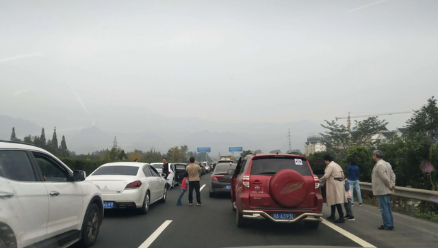 五一高速大堵车,为何看不到百万豪车?收费员讲出实情:扎心了!