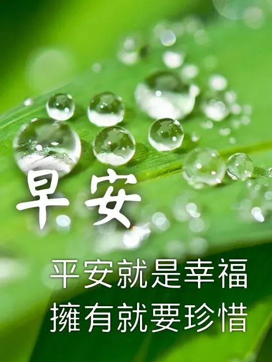 最有創意好看的早安早上好圖片帶字帶祝福語2022唯美夏天早安問候祝福