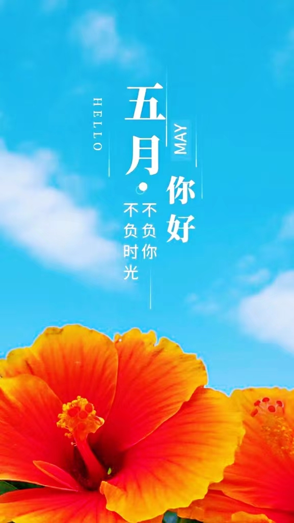 5月最美的一段话