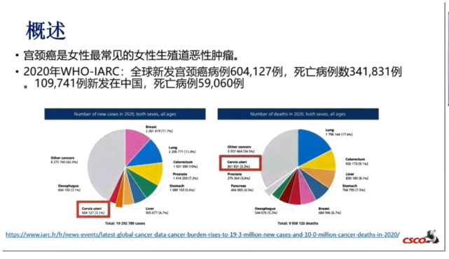 2022csco宫颈癌指南更新要点(可下载精美ppt及解读视频)