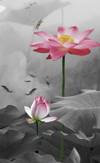 进入5月份,4属相运势上上吉,事业步步高升,生活平安喜乐