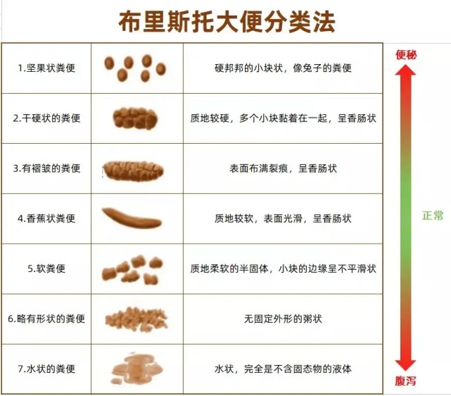 大便粘马桶是什么原因图片