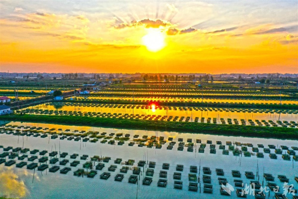 仙桃张沟镇入选国家级创建名单