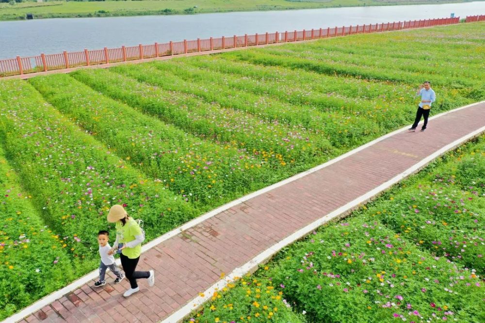 佛山三水花海生态公园图片