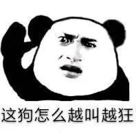 表情包:熊猫头斗图表情包_腾讯新闻