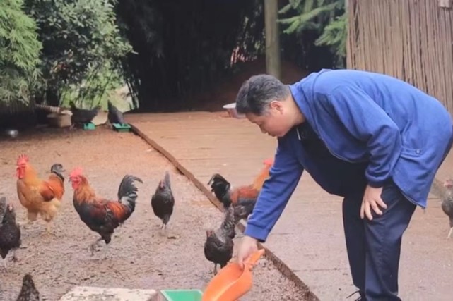 低调养鸡14年带领288户农民脱贫三德子赵亮才是真明星