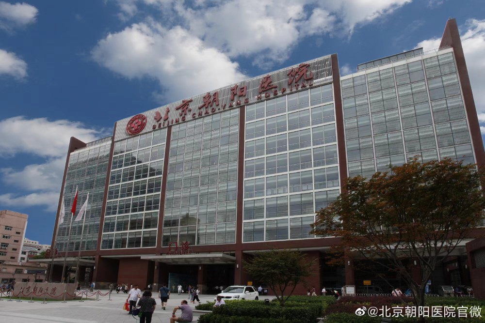 包含朝陽醫院黃牛掛號，檢查住院辦理一條龍服務的詞條